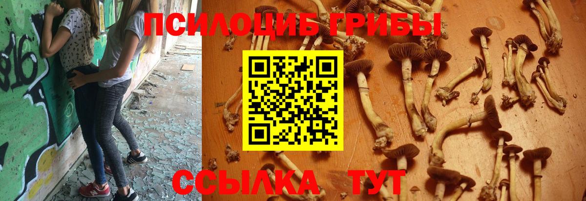 Псилоцибиновые грибы Psilocybe  наркотики  Иваново  Псилоцибиновые грибы MAGIC MUSHROOMS  Вход с VPN 